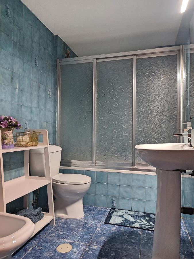 Apartamento La Muralla De San Lorenzo 코르도바 외부 사진
